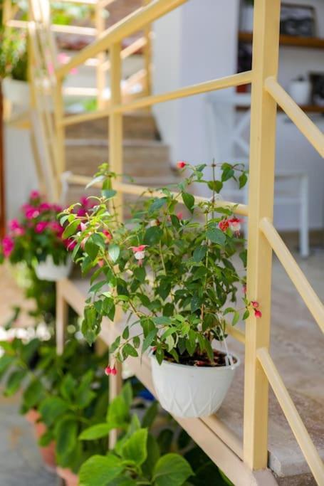 Cereni Guesthouse Berat Kültér fotó
