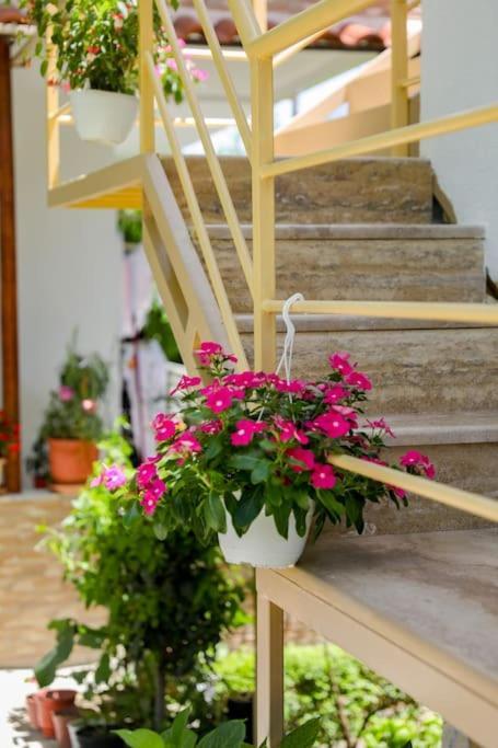 Cereni Guesthouse Berat Kültér fotó